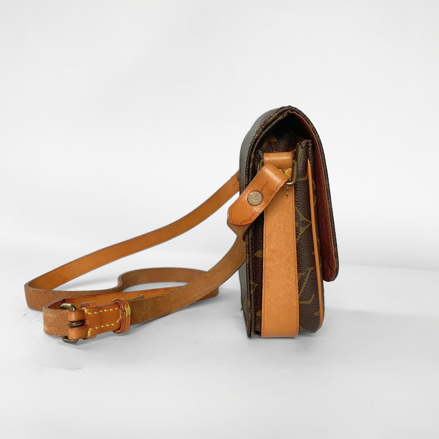 Louis Vuitton Cartouchière PM Monogram Canvas