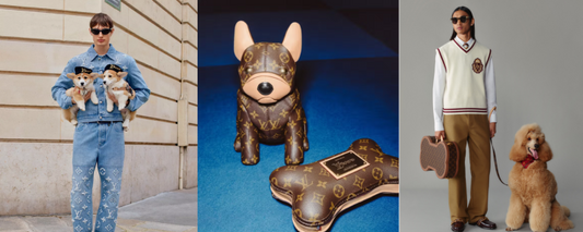 Louis Vuitton Spring 2025 Collection is for Dog Lovers