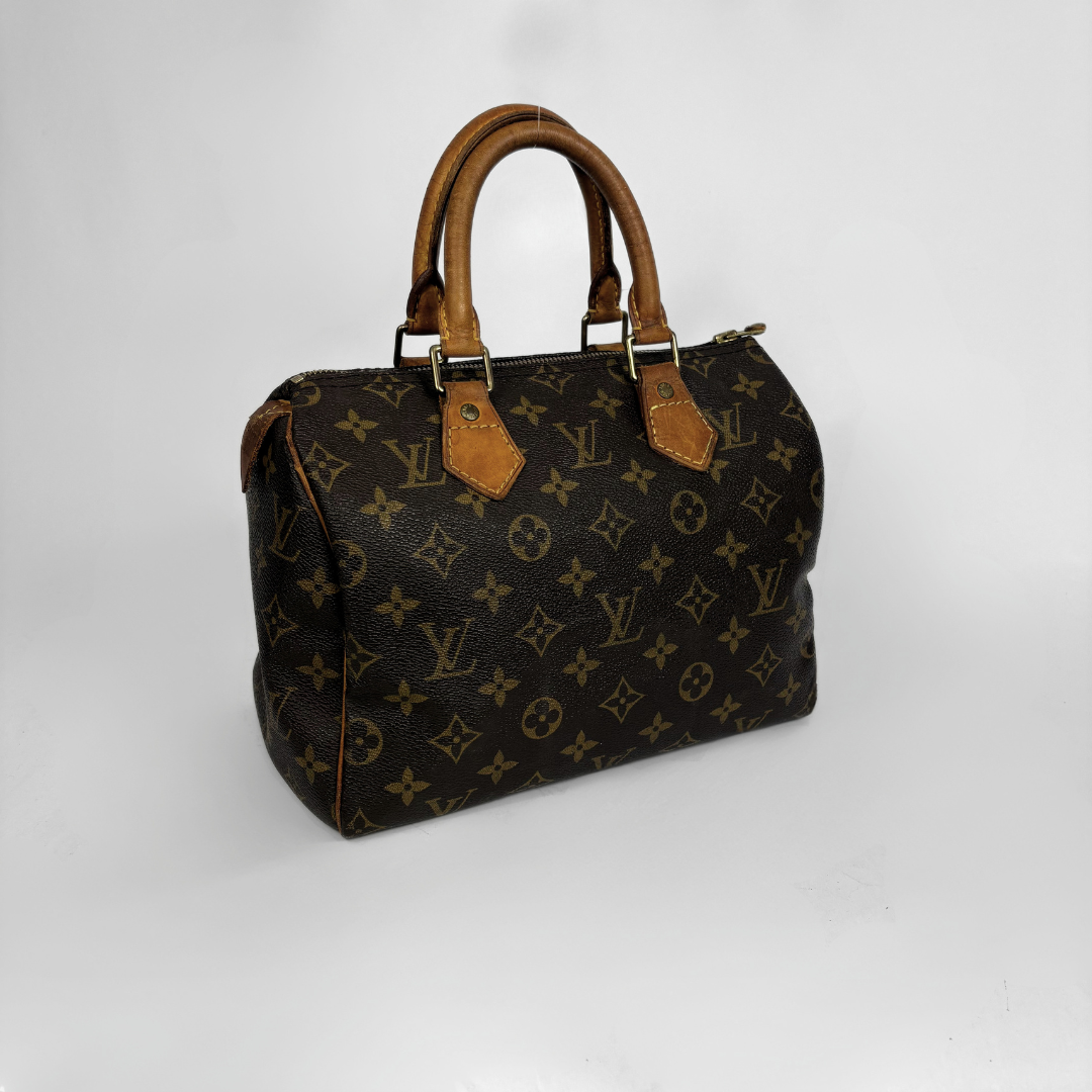 Louis Vuitton Speedy 25 on a white background
