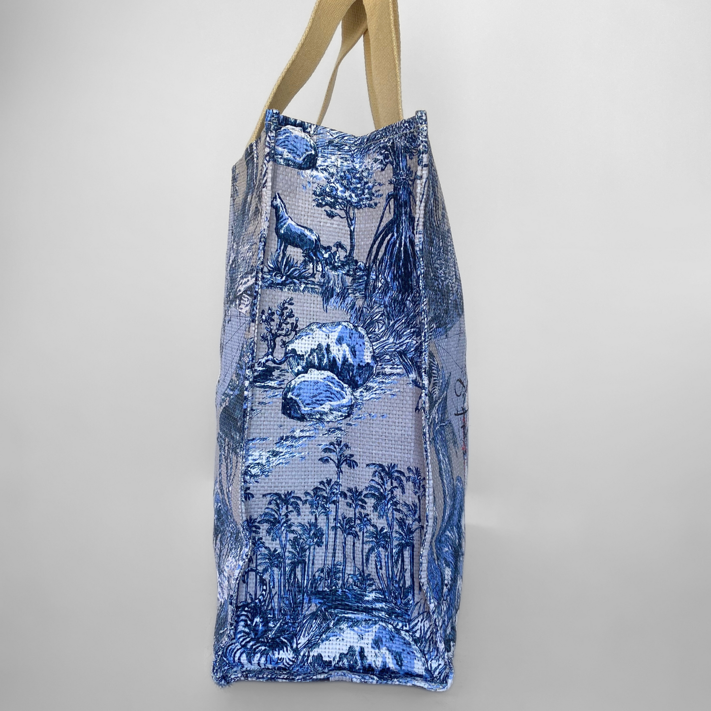 Dior Around The World Tote Bag Cotton