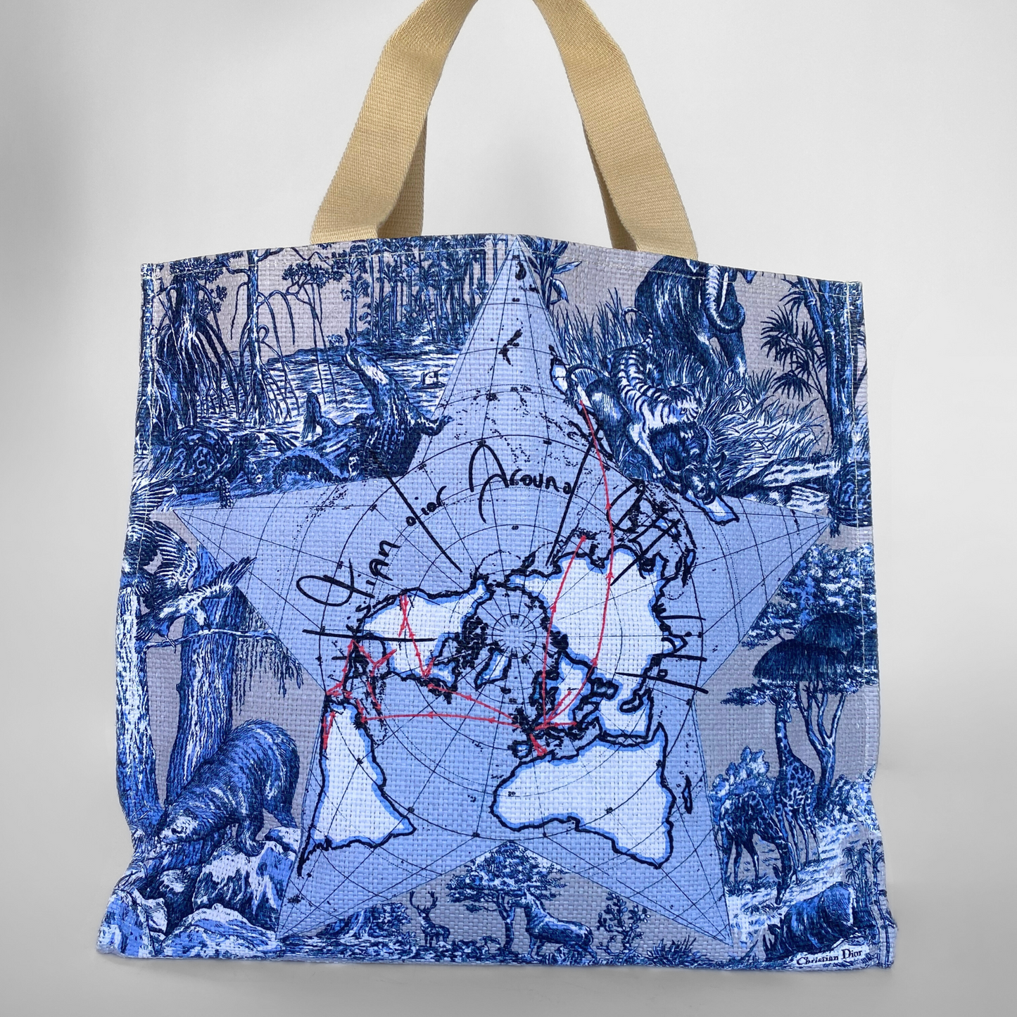 Dior Around The World Tote Bag Cotton