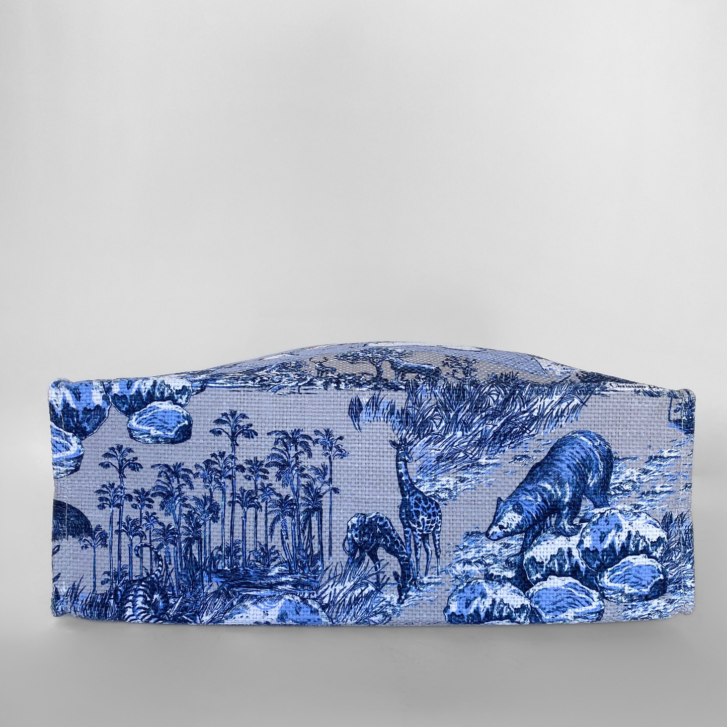 Dior Around The World Tote Bag Cotton