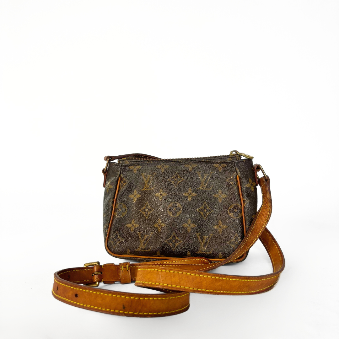 Louis Vuitton Viva Cité PM Monogram Canvas