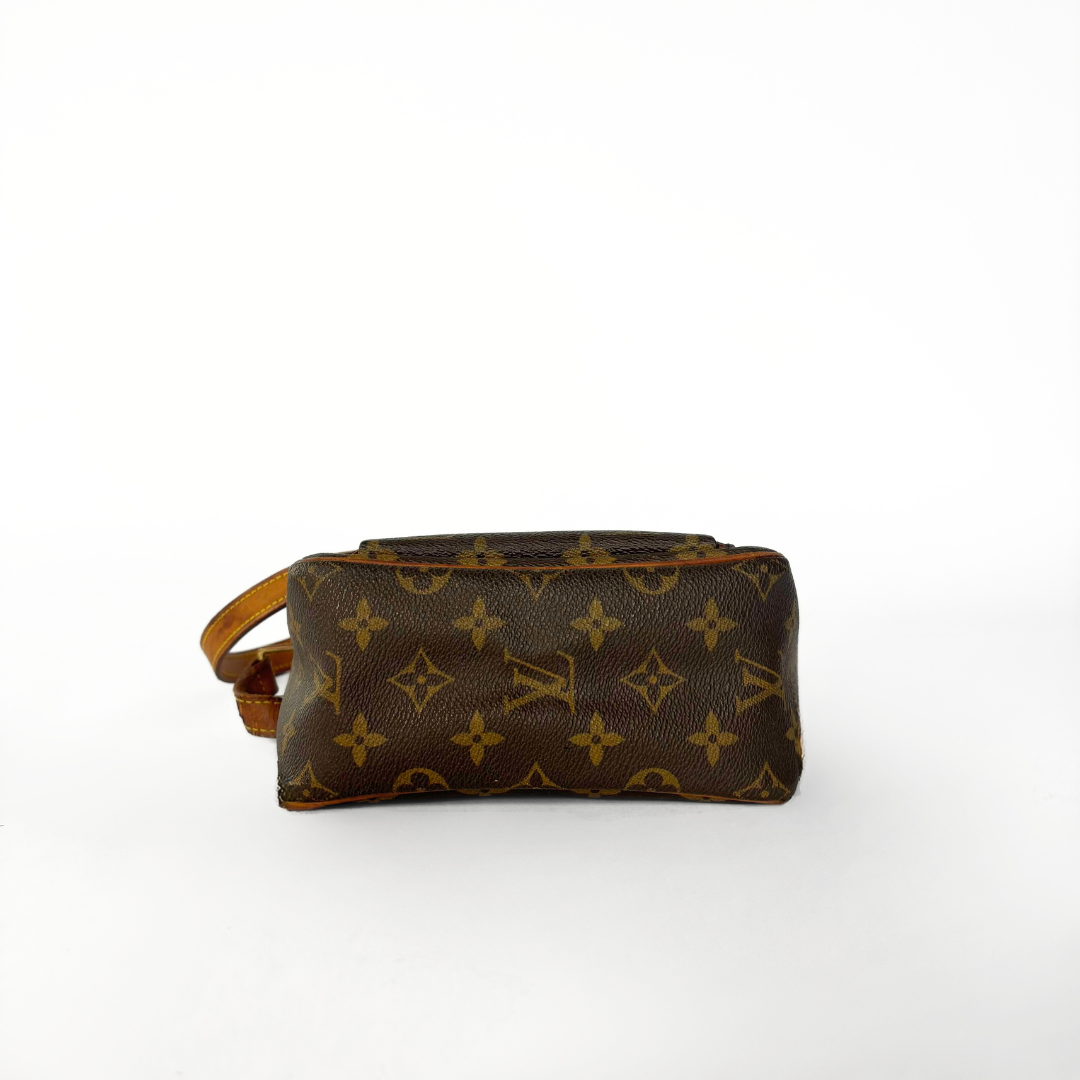 Louis Vuitton Viva Cité PM Monogram Canvas
