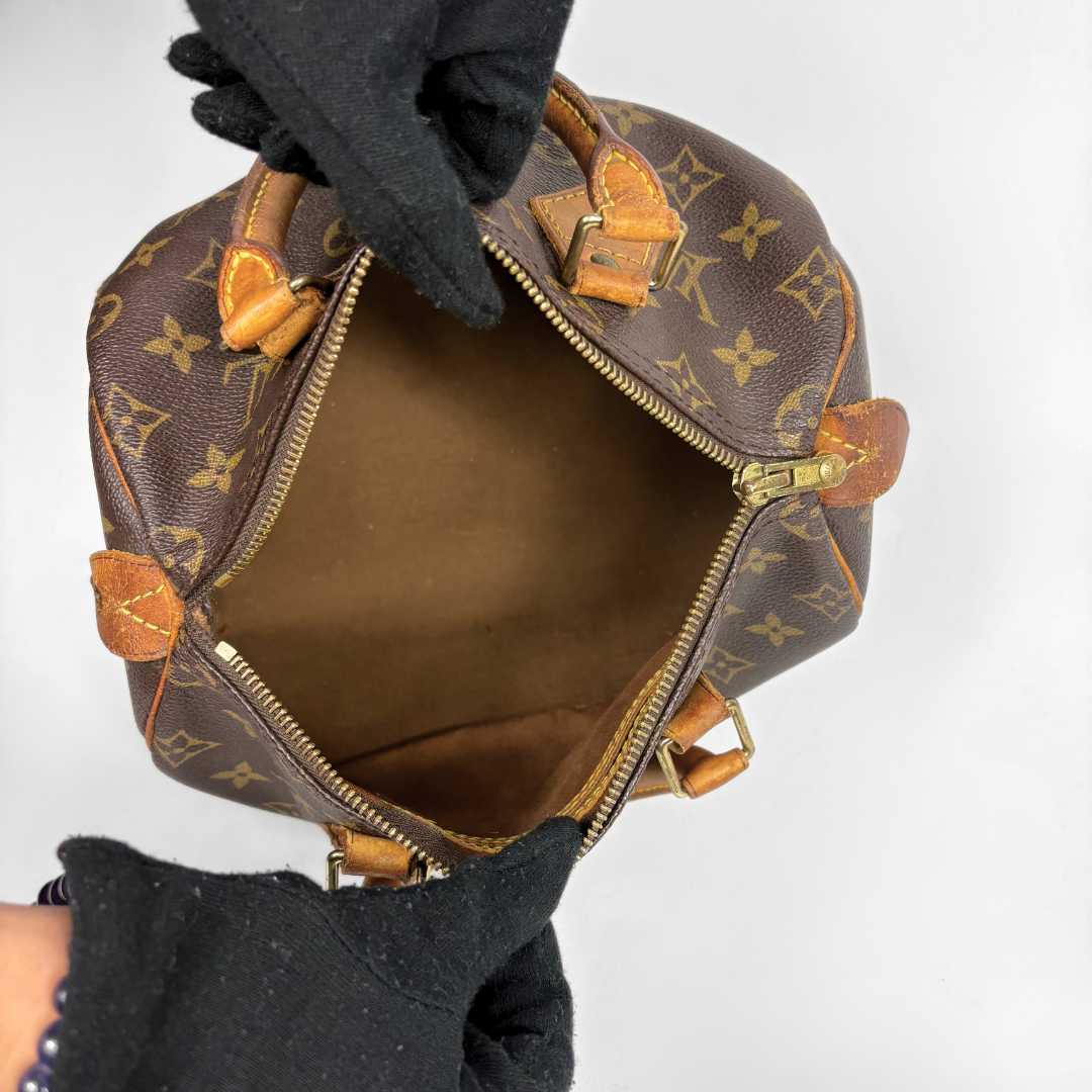 Louis Vuitton Speedy 25 on a white background