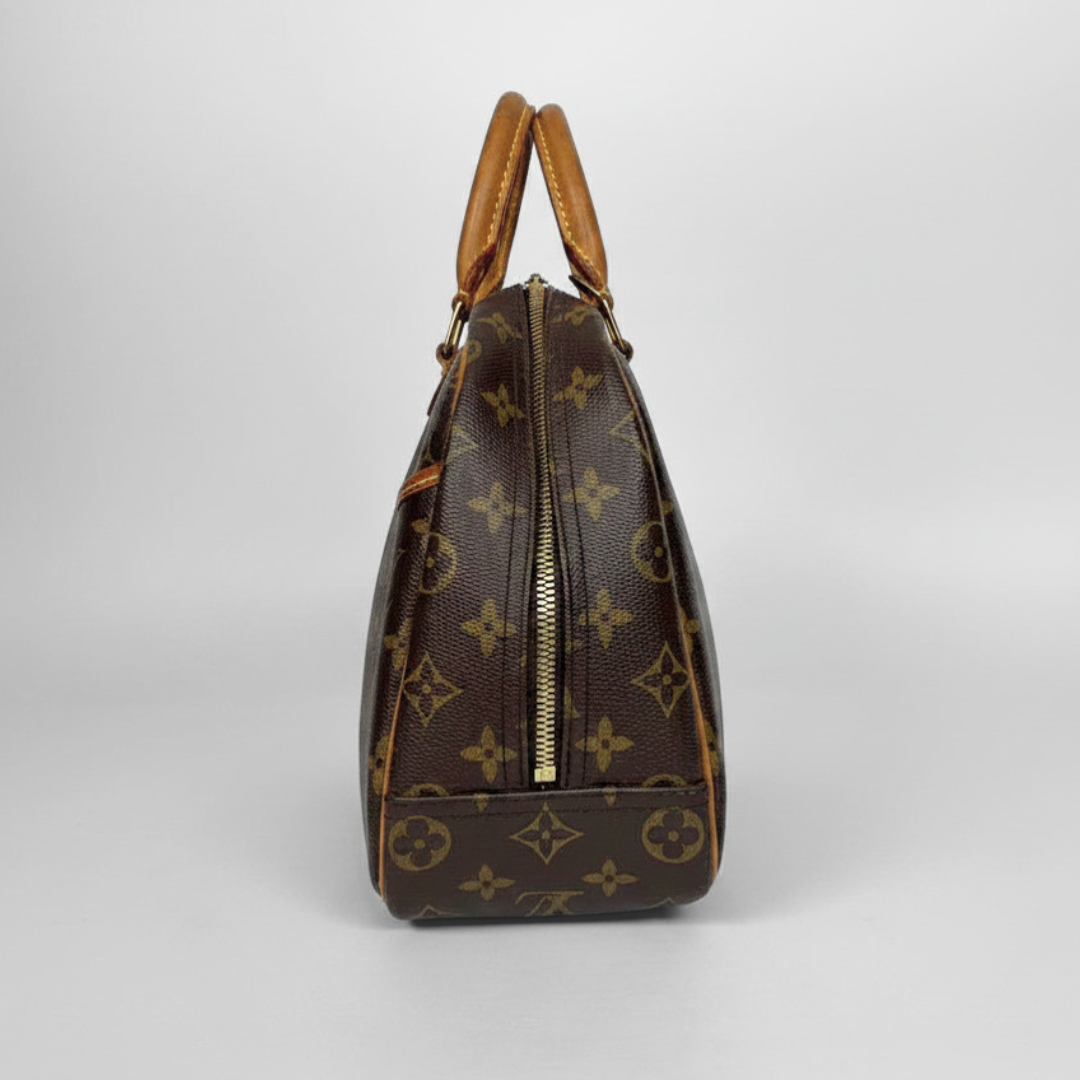 A Louis Vuitton monogram Speedy handbag in brown coated canvas with tan leather handles and trim, shown from the side against a light gray background.