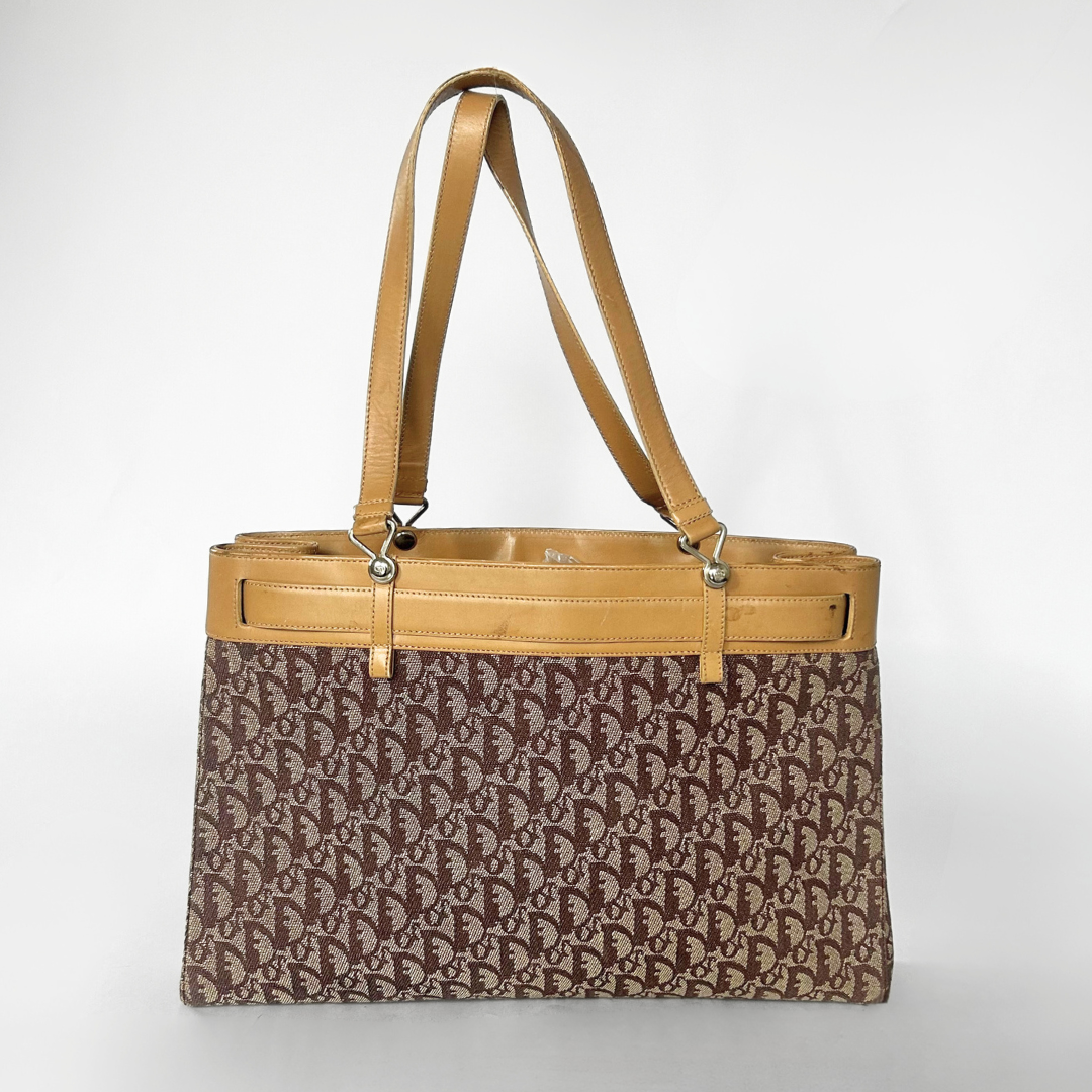 Dior Shopper Oblique Canvas
