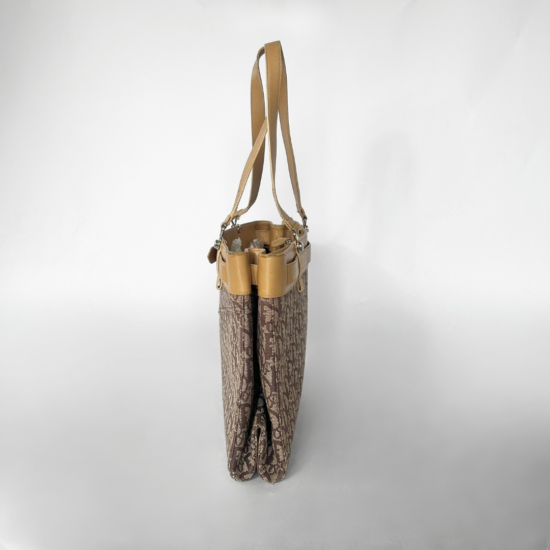 Dior Shopper Oblique Canvas