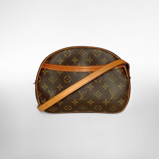 Louis Vuitton Louis Vuitton Blois Toile Monogram Canvas - Crossbody bags - Etoile Luxury Vintage