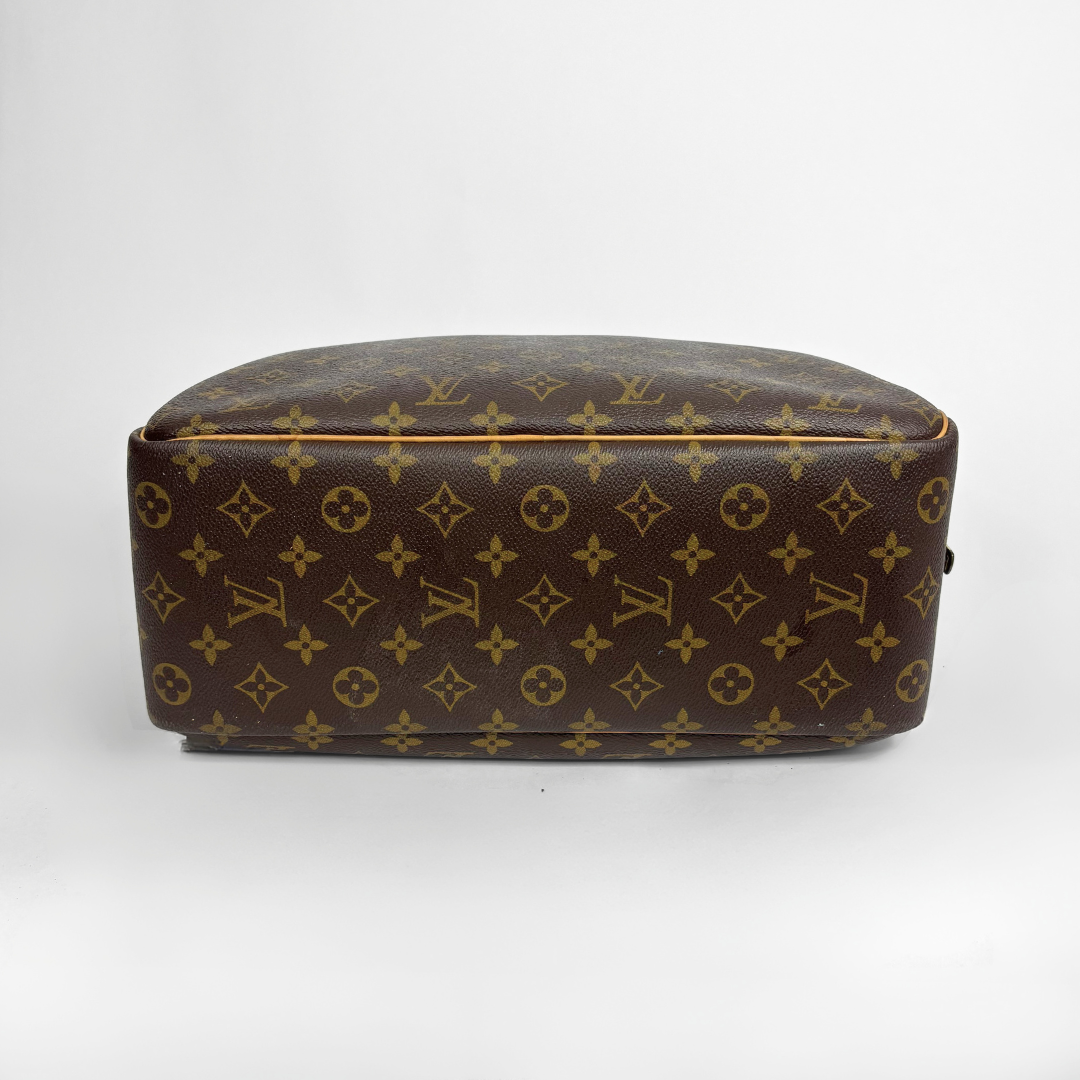 A Louis Vuitton monogram canvas bag, likely a dust bag or soft-sided storage case, shown from the back against a plain white studio background.
