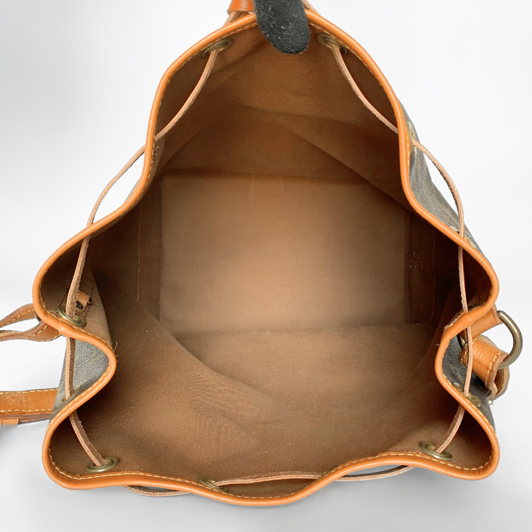 Louis Vuitton Noé Monogram Canvas