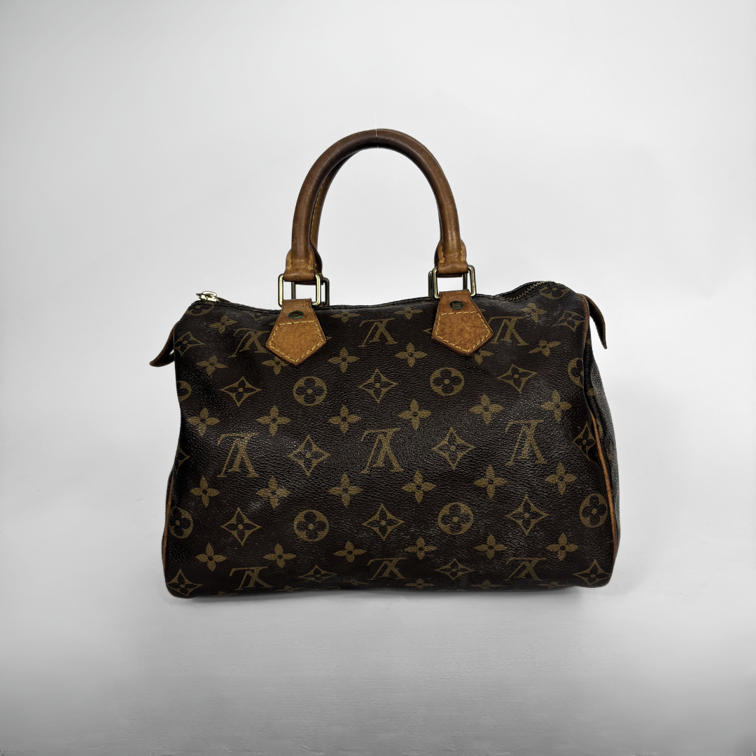 Louis Vuitton Speedy 25 on a white background