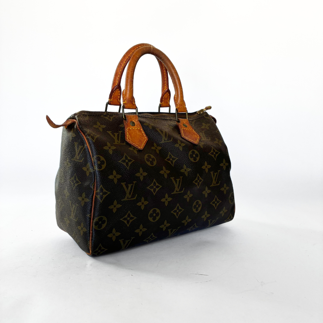 Louis Vuitton Speedy 25 Monogram Canvas