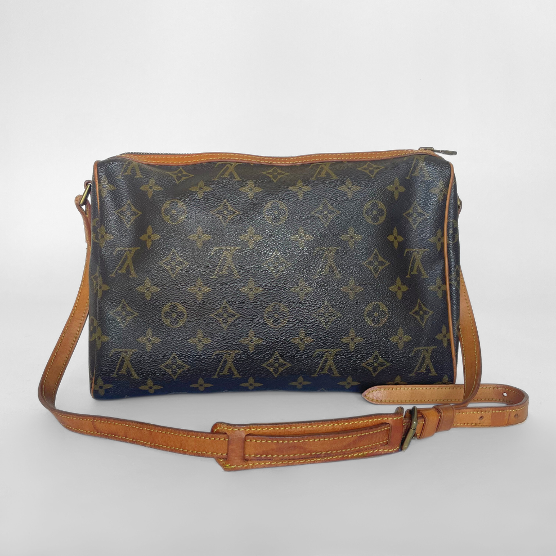Louis Vuitton Tulley Monogram Canvas