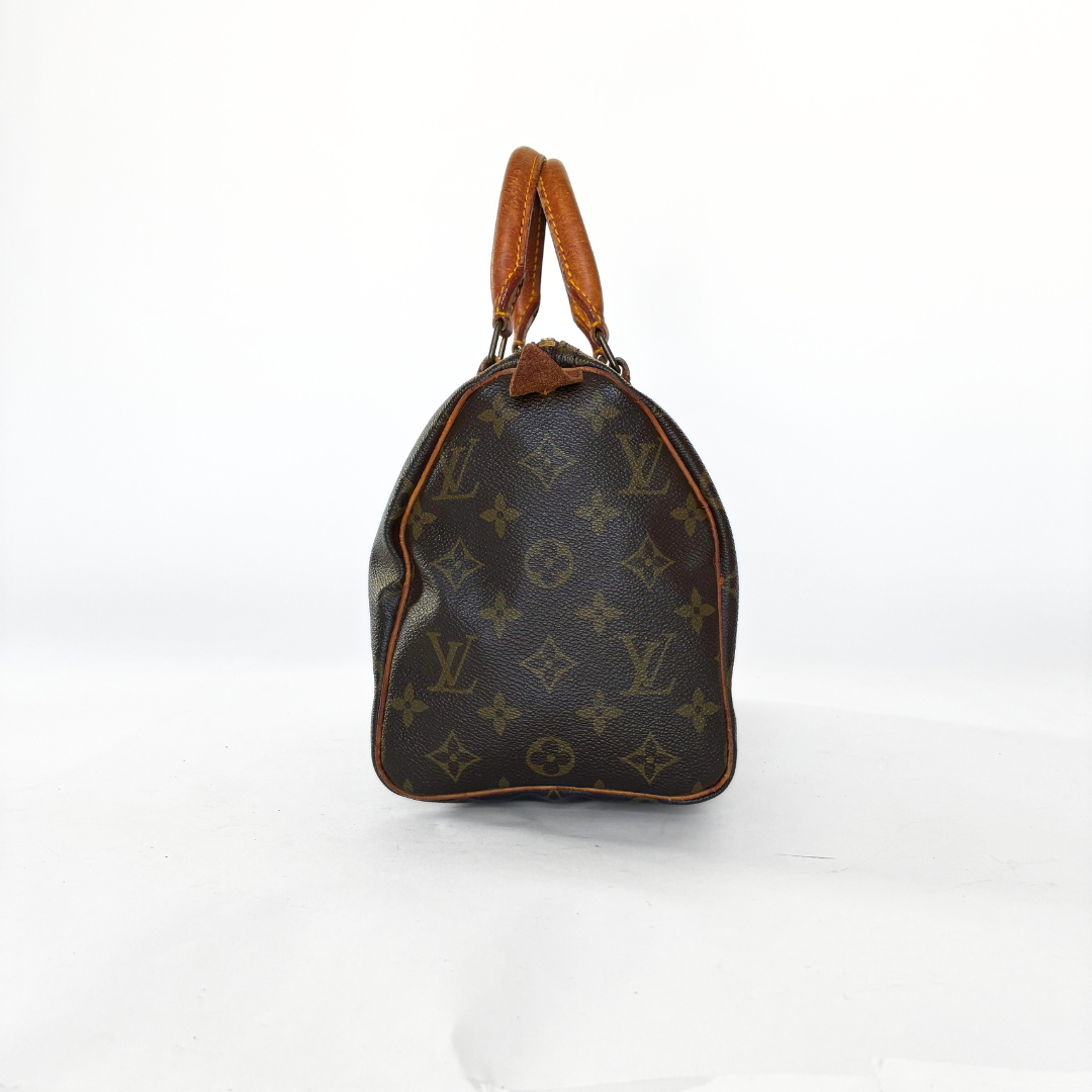 Louis Vuitton Speedy 25 Monogram Canvas