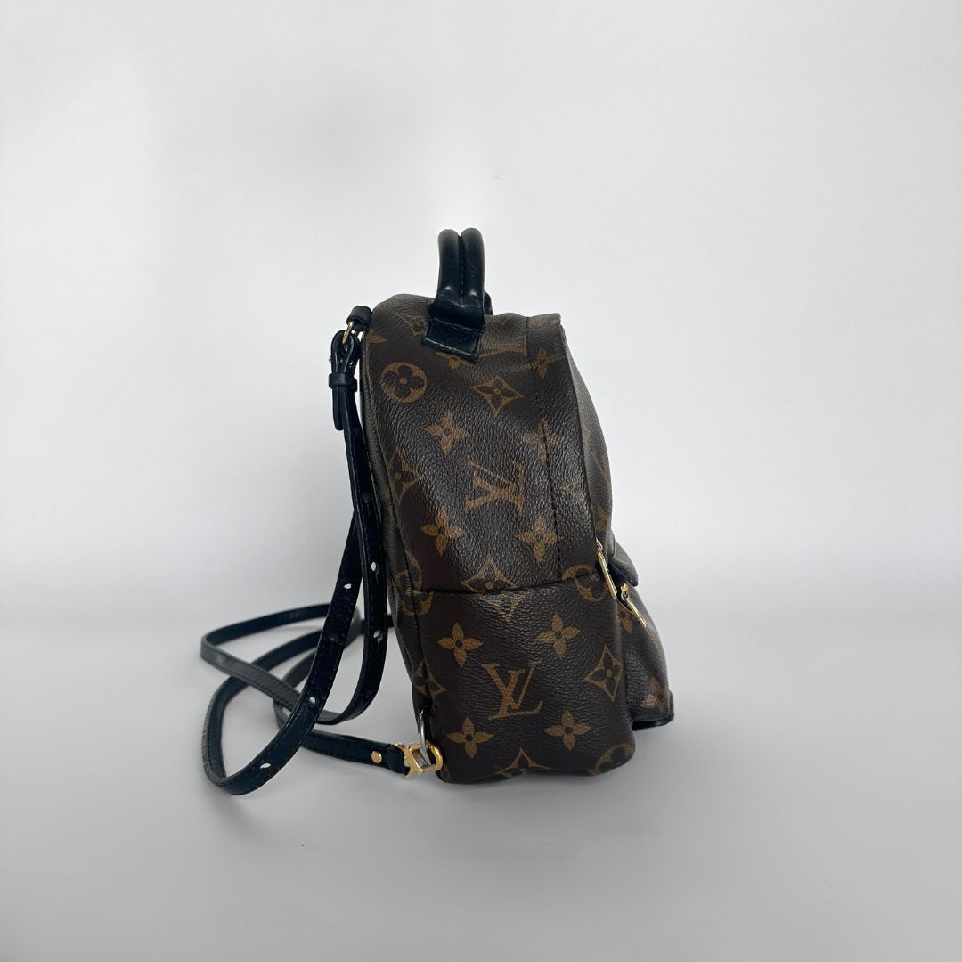 Louis Vuitton Louis Vuitton Palm Springs Monogram Backpack - Backpacks - Etoile Luxury Vintage