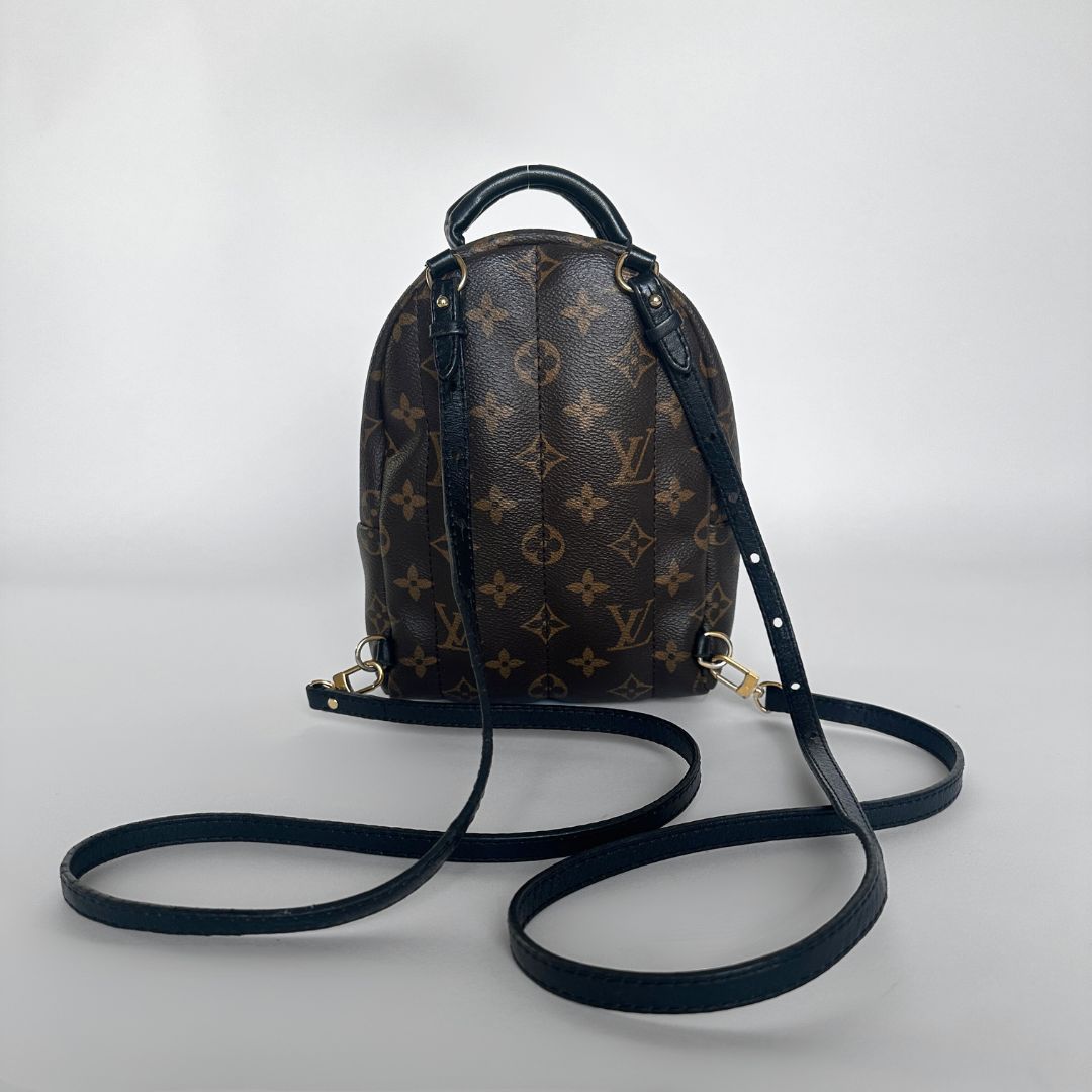 Louis Vuitton Louis Vuitton Palm Springs Backpack Monogram Canvas - Backpacks - Etoile Luxury Vintage