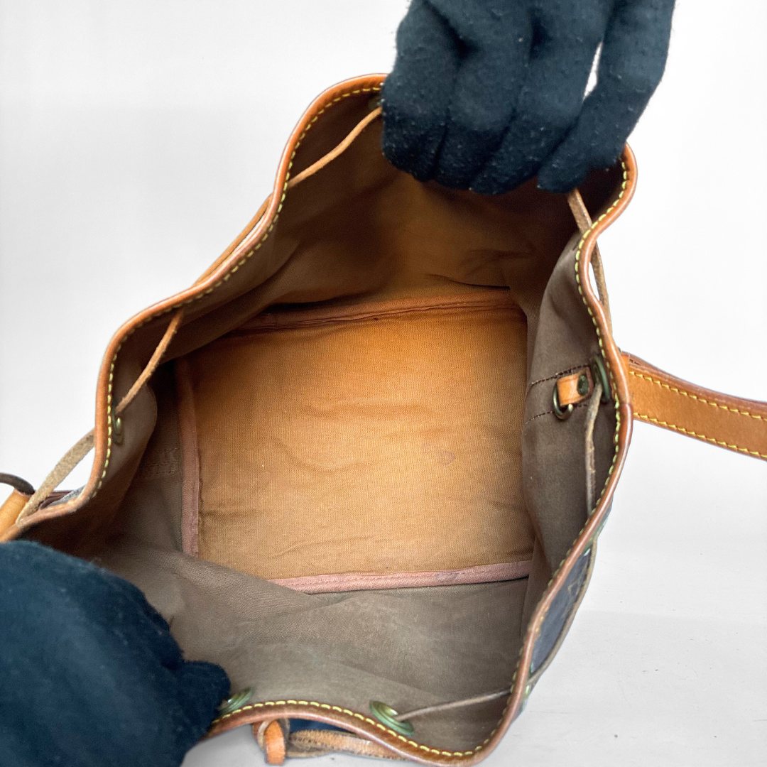 Louis Vuitton Petit Noé Monogram Canvas