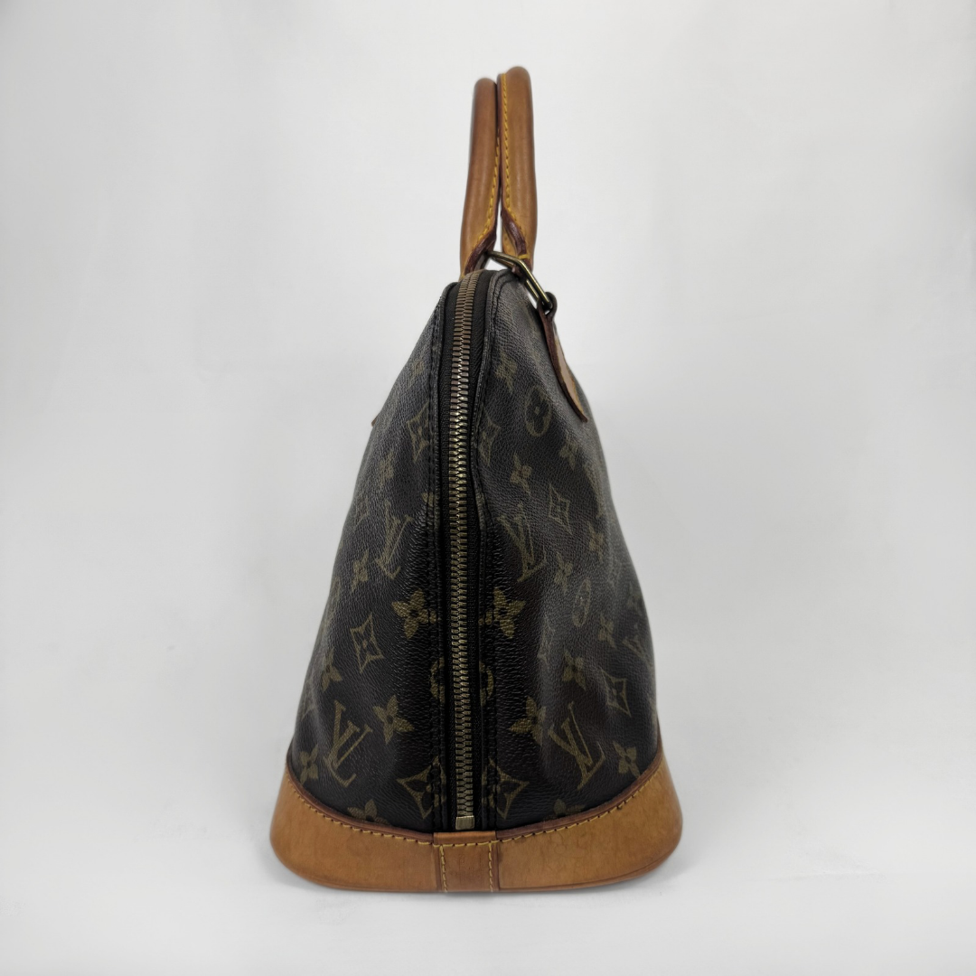 Louis Vuitton monogram canvas Speedy bag shown from the side profile against a plain white background.